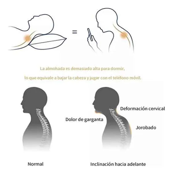Almohada cervical – Espuma viscoelástica – Funda de bambú